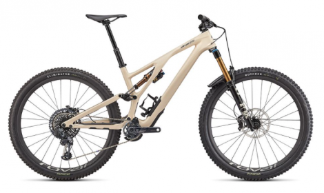 Specialized Stumpjumper Evo 2022