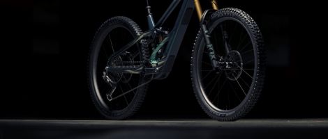 NEW ORBEA WILD