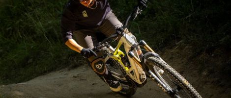 The ORBEA Wild