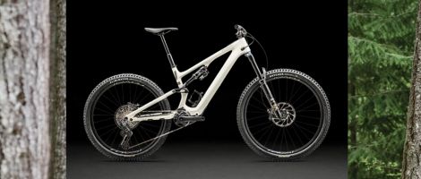 Nouveau Turbo Levo SL